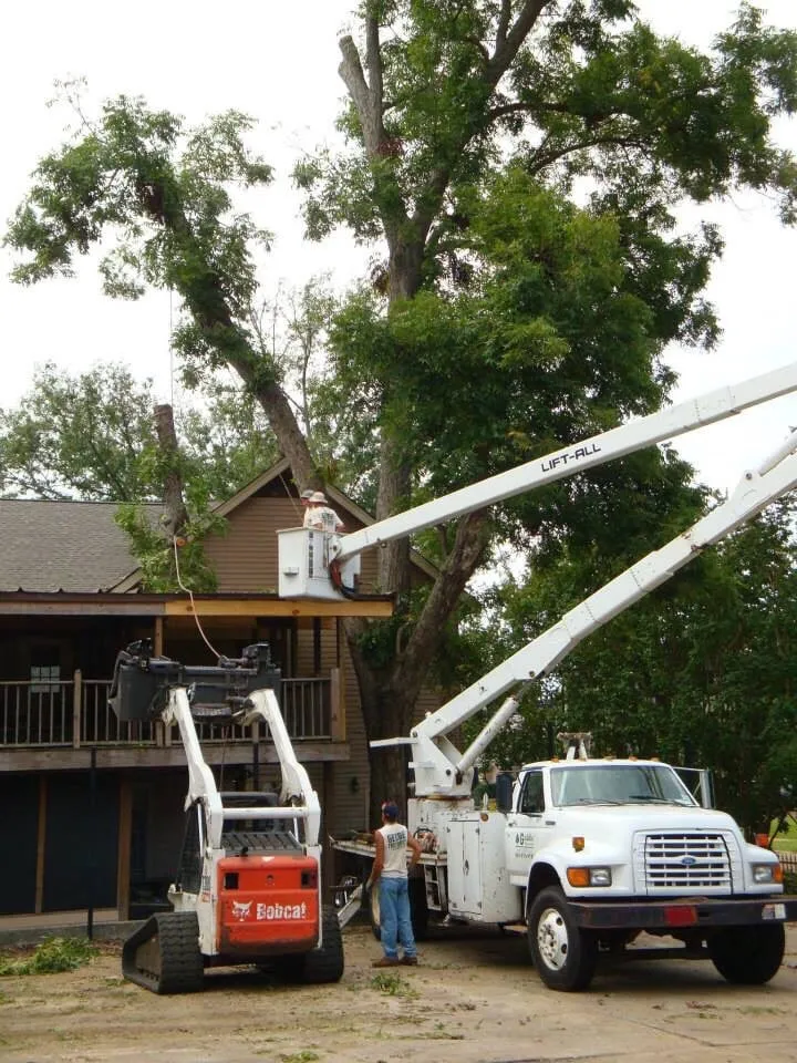 Professional garden landscaping in Brandon, MS - Kustom Kutz Tree Service