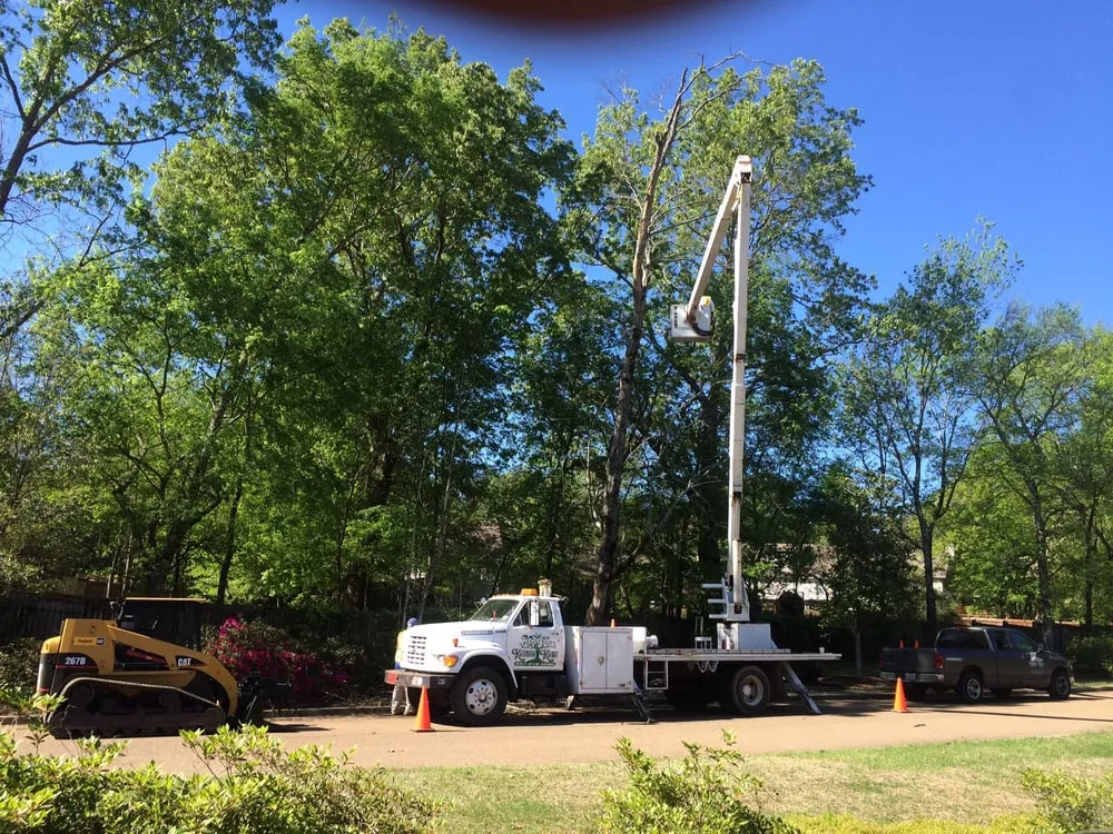 Reliable yard cleanup service in Brandon, MS by Kustom Kutz Tree Service