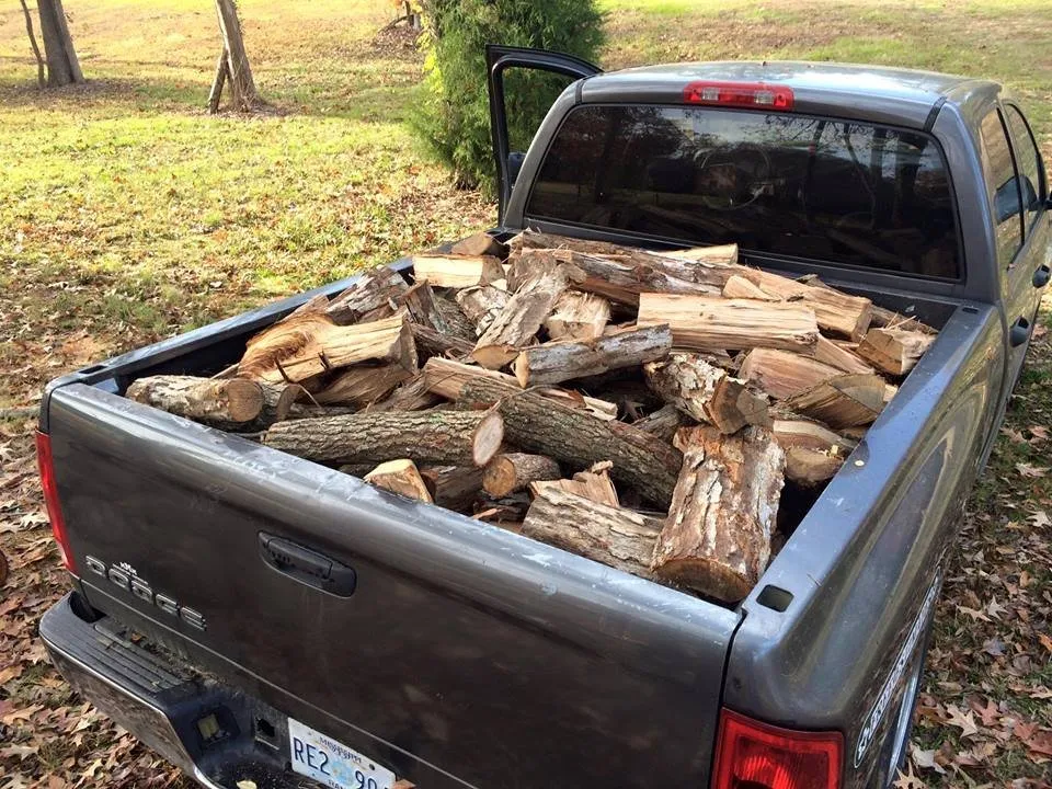 Expert yard cleanup service in Brandon, MS by Kustom Kutz Tree Service