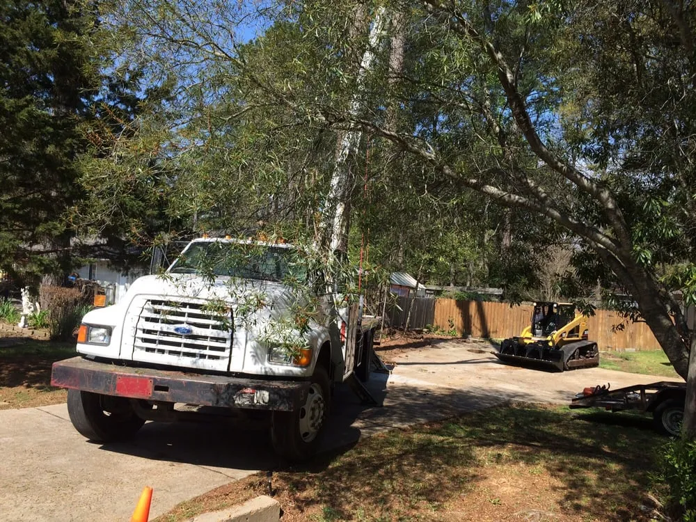 Trusted yard maintenance near you in Brandon, MS by Kustom Kutz Tree Service
