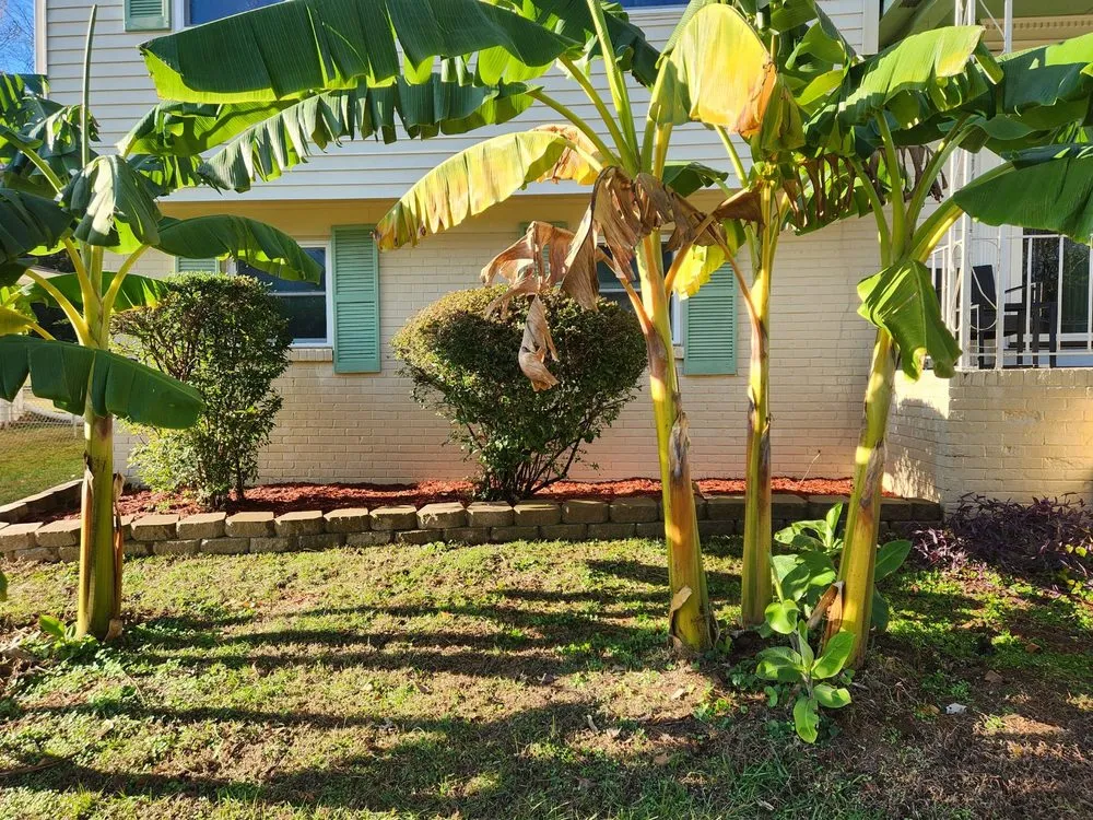 Trusted outdoor landscaping experts serving Athens, AL - Kustome Residential Solutions