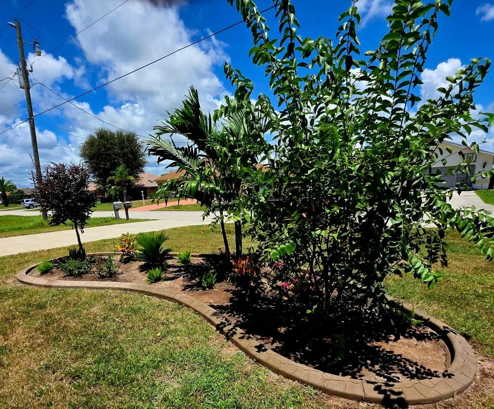 Professional yard cleanup service for outdoor upgrades across Port Charlotte, FL - Kustomized Kurbing