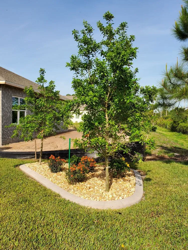Reliable landscaping services in Port Charlotte, FL by Kustomized Kurbing