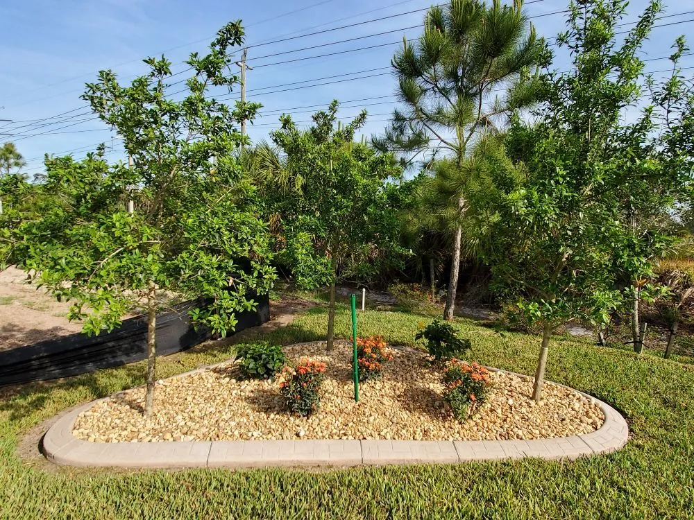 Reliable residential landscaping in Port Charlotte, FL - Kustomized Kurbing