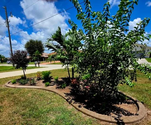 Kustomized Kurbing Logo