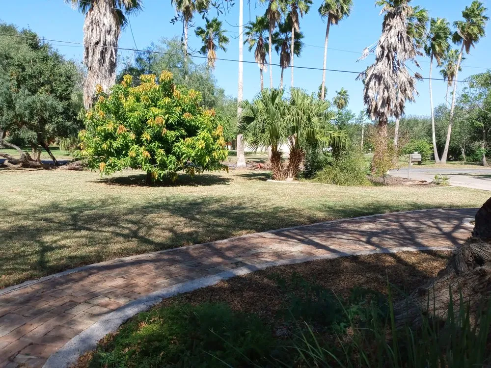 Reliable landscape installation in Harlingen, TX by Kut and Kare Lawn Servcie