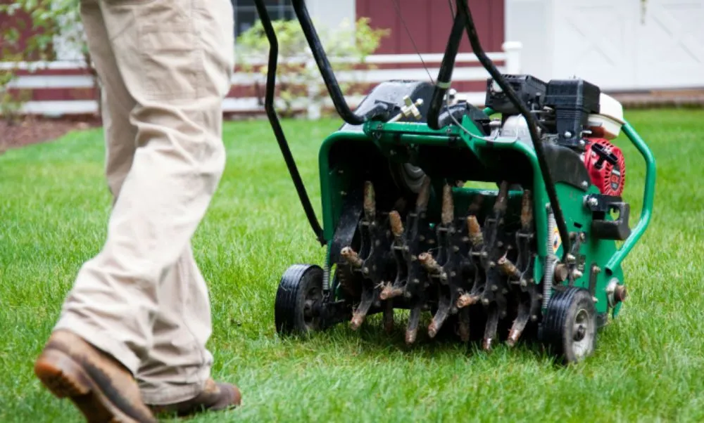 Reliable lawn mowing service experts serving Denver, CO - Kut-N-Krew Lawn Care