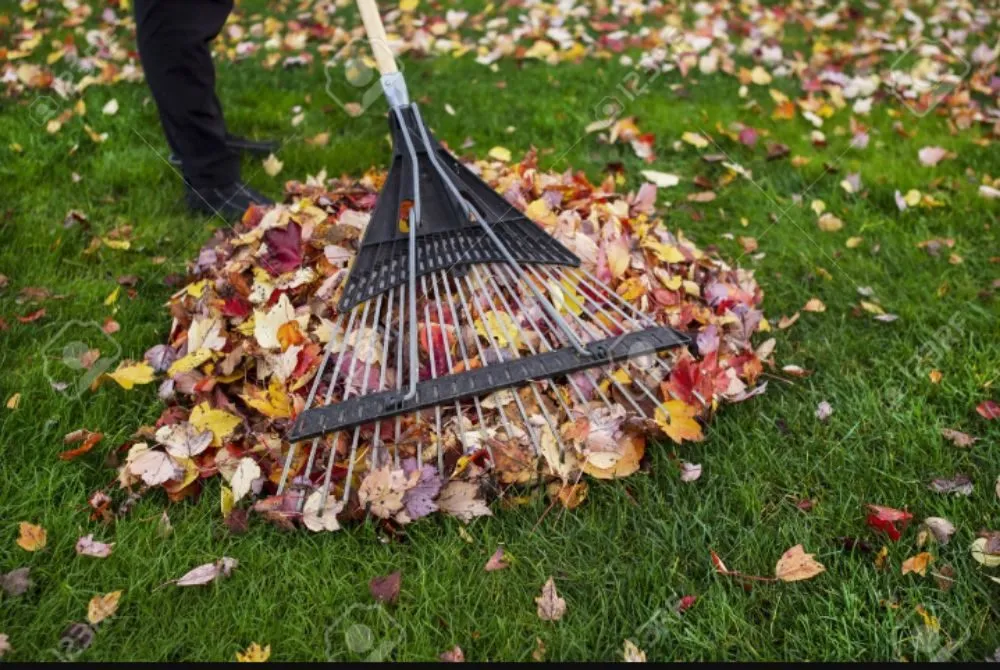Custom yard cleanup service in Denver, CO - Kut-N-Krew Lawn Care