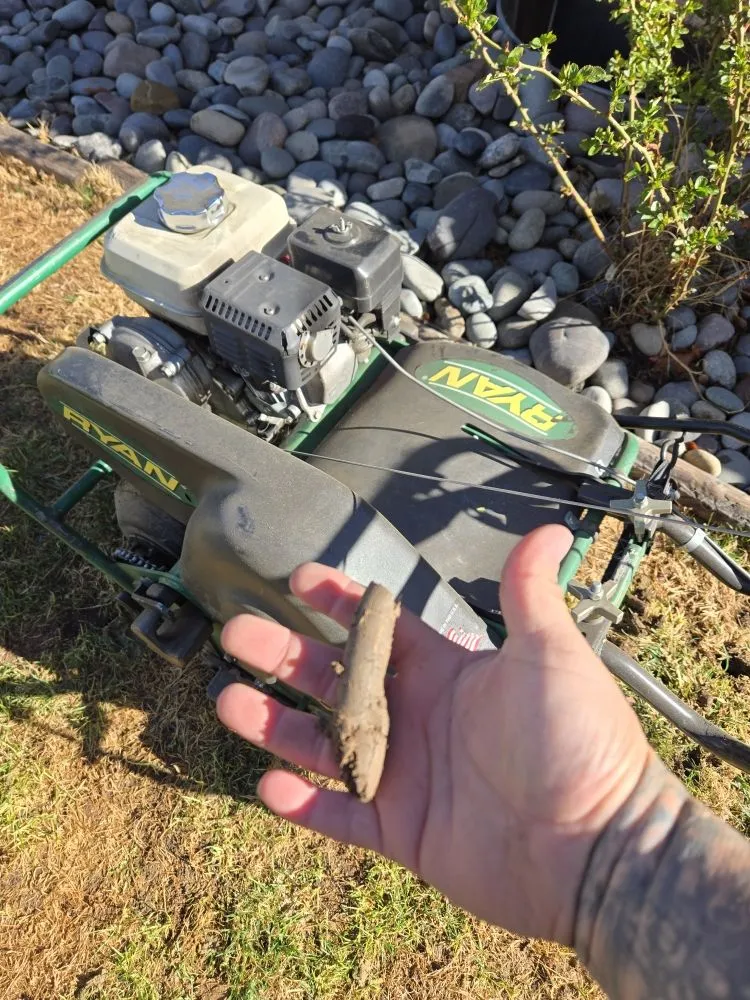 Local yard maintenance experts serving Denver, CO - Kut-N-Krew Lawn Care