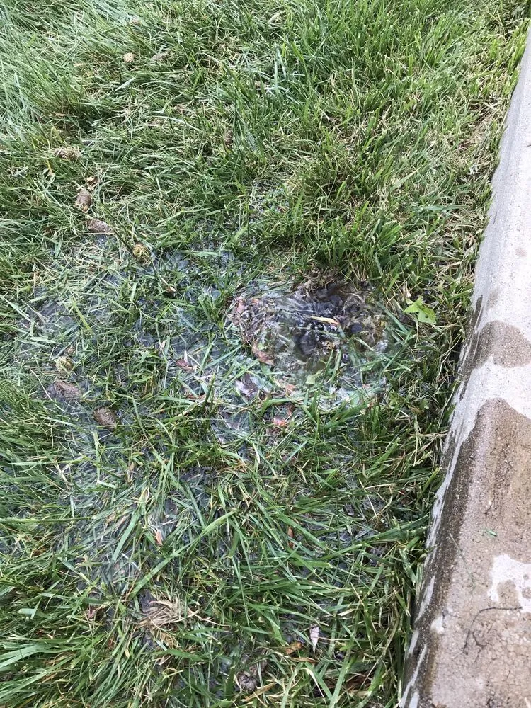 Professional outdoor landscaping in Denver, CO - Kut-N-Krew Lawn Care