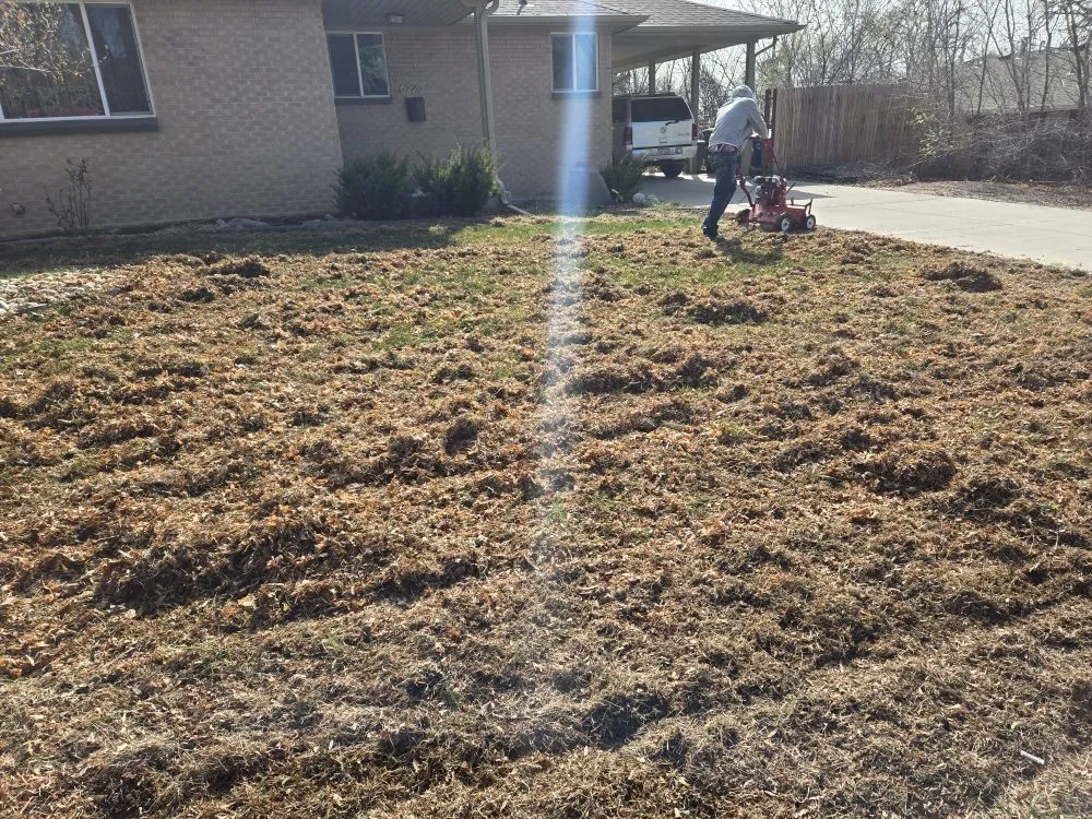 Expert lawn care service in Denver, CO - Kut-N-Krew Lawn Care