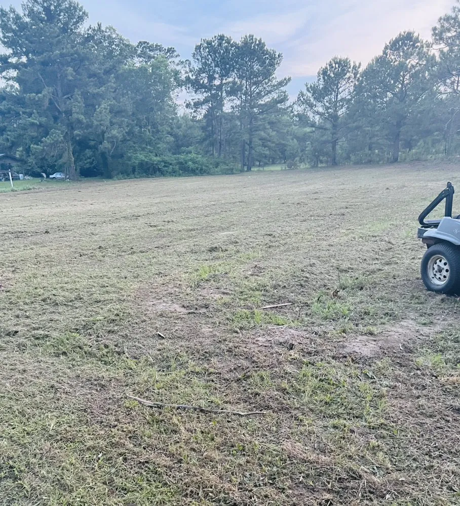 Affordable yard cleanup service in Dothan, AL by Kut-N-Up Enterprises