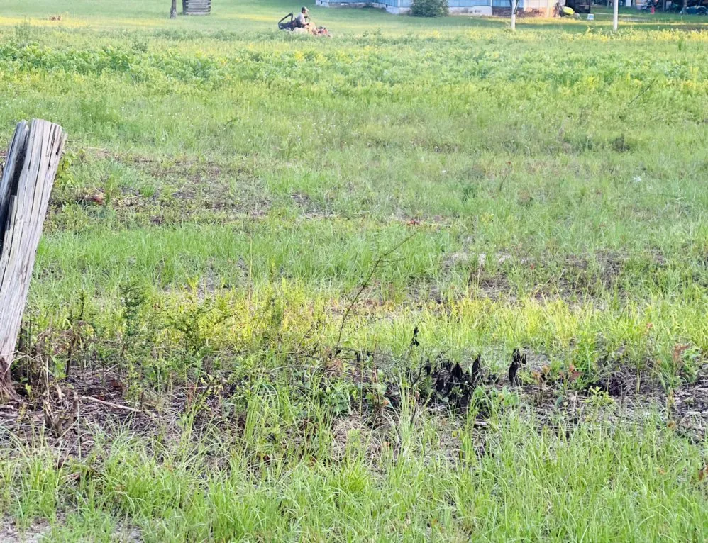 Expert landscape design for outdoor upgrades in Dothan, AL by Kut-N-Up Enterprises