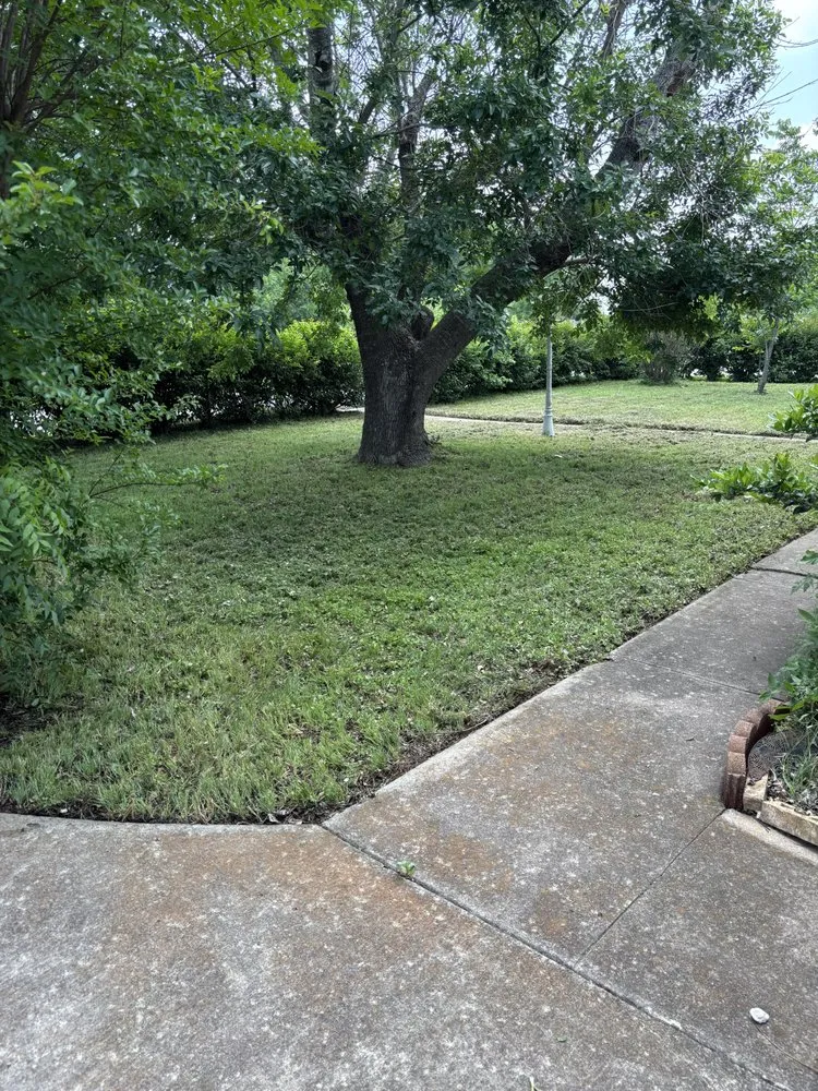 Local landscaping services in Killeen, TX by Kut N Up Lawn Care