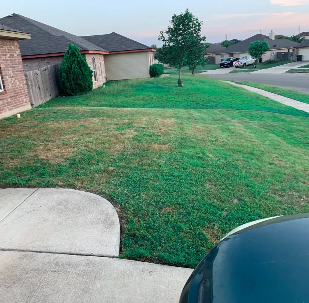 Local landscape installation in Killeen, TX by Kut N Up Lawn Care