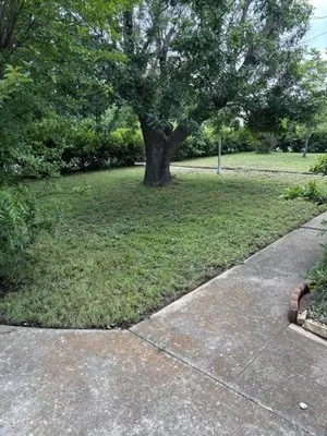 Kut N Up Lawn Care Logo