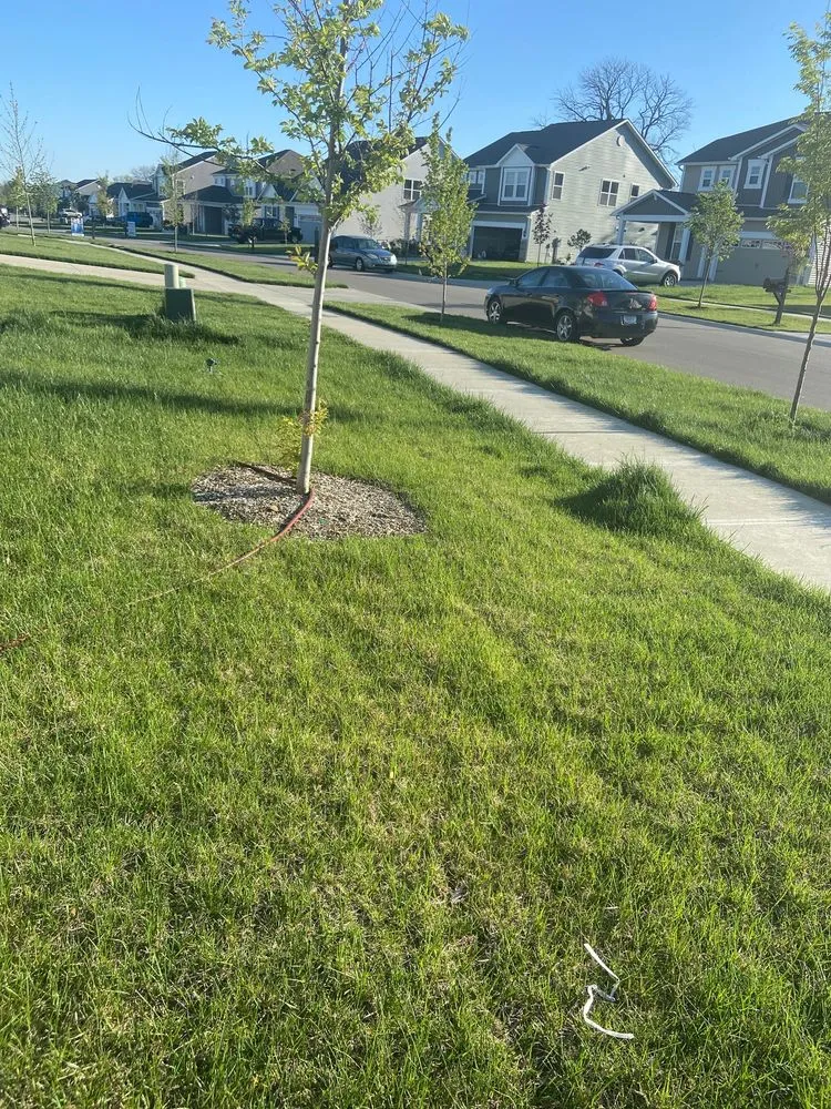 Expert yard maintenance experts serving Indianapolis, IN - Kutmasters Lawn Care Services