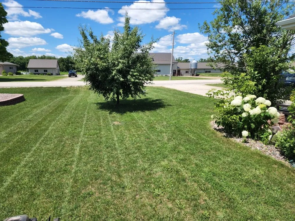 Custom yard maintenance in Green Bay, WI - Kuts & Edges