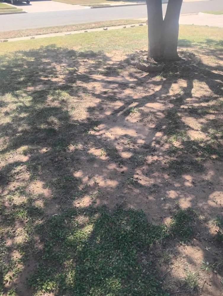 Expert yard cleanup service experts serving Lubbock, TX - Kutt Em Down Lawn and Landscaping