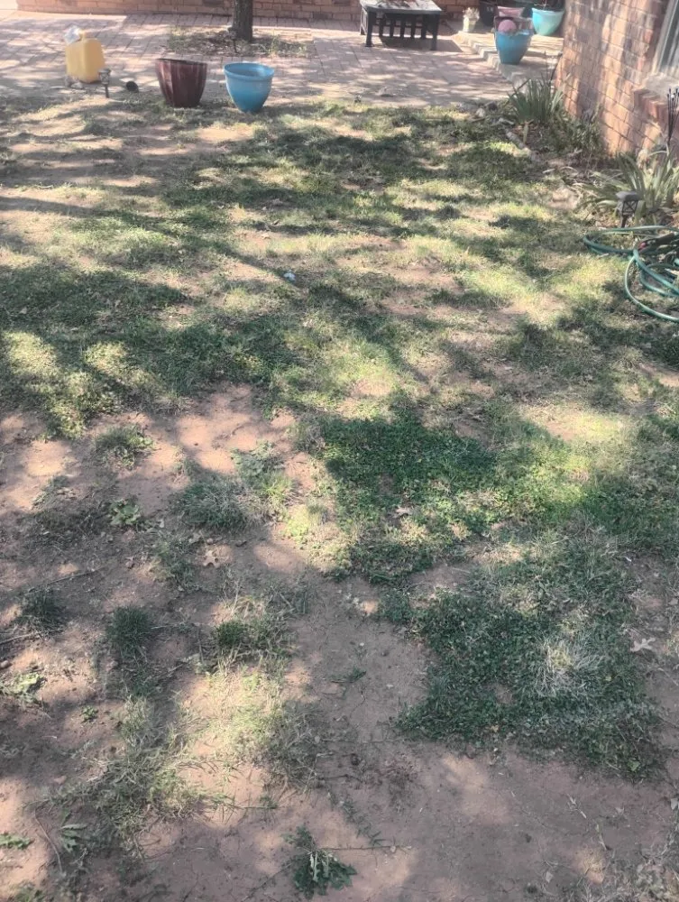 Professional outdoor landscaping in Lubbock, TX by Kutt Em Down Lawn and Landscaping