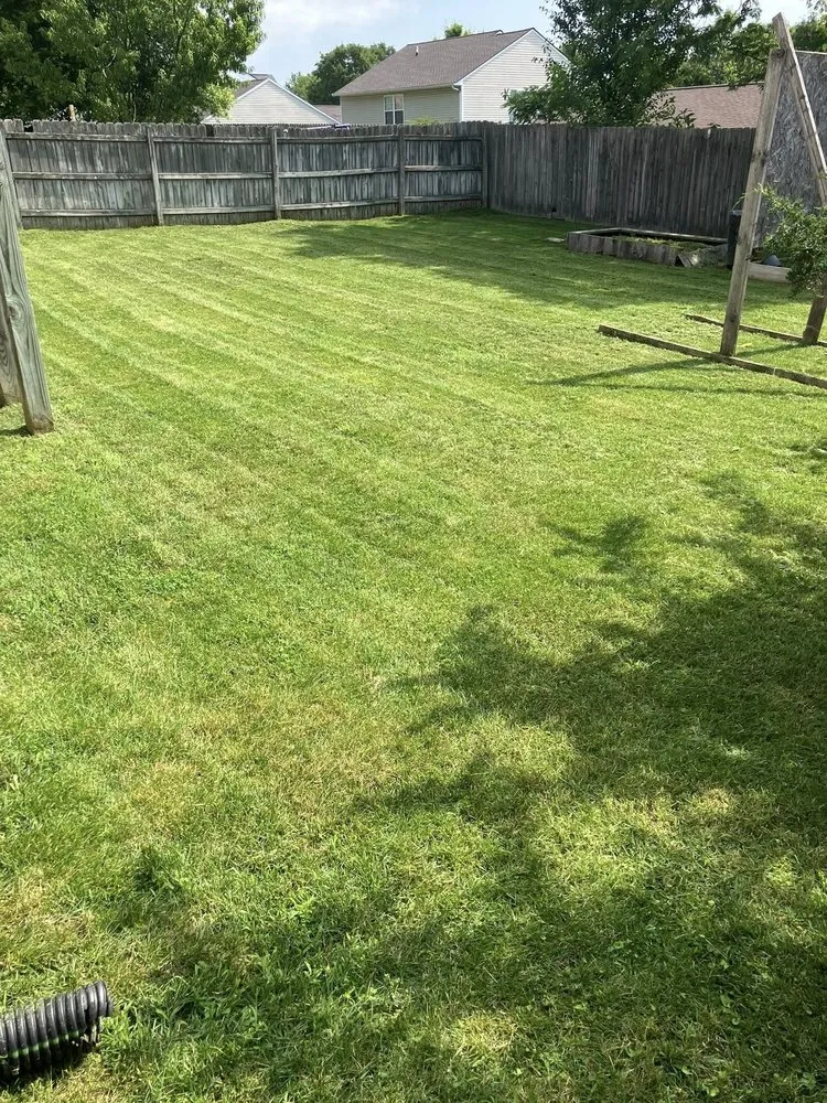 Custom yard maintenance for outdoor upgrades across Houston, TX - Kuttakey