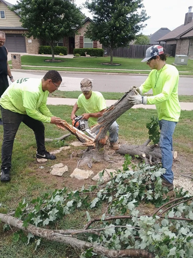 Reliable garden landscaping in Houston, TX - Kuttakey