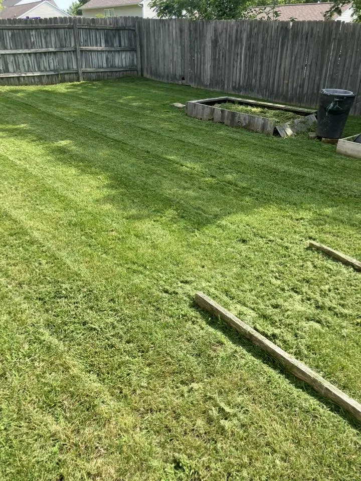 Affordable residential landscaping in Houston, TX - Kuttakey