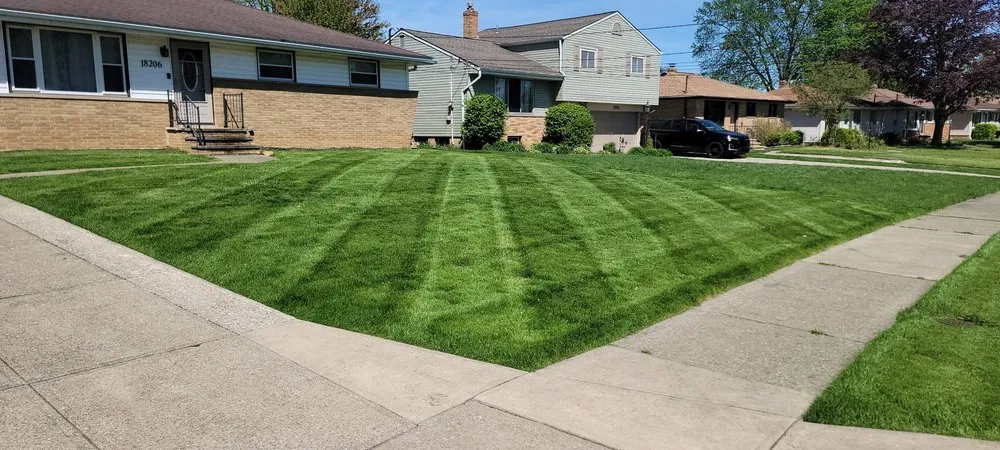 Professional lawn mowing service in Houston, TX by Kuttakey