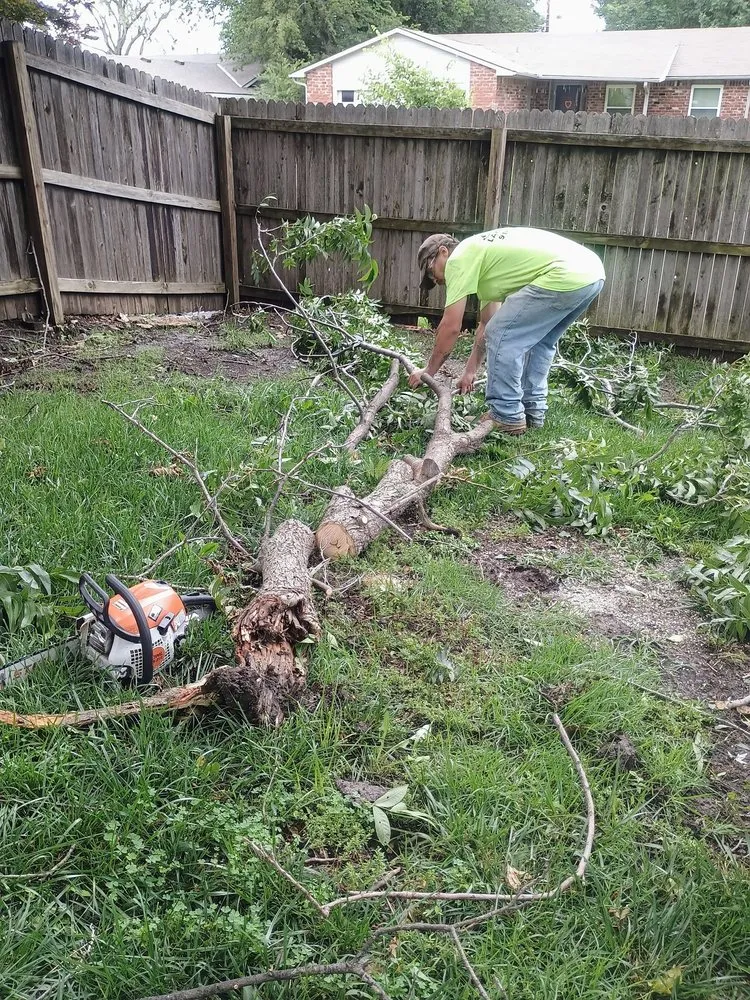 Reliable yard maintenance in Houston, TX by Kuttakey