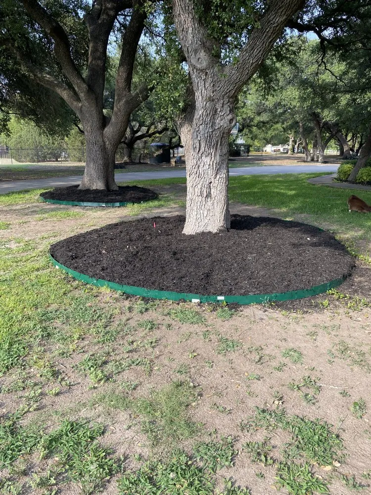 Affordable yard maintenance for residential properties in Aledo, TX by Kutters Landscaping