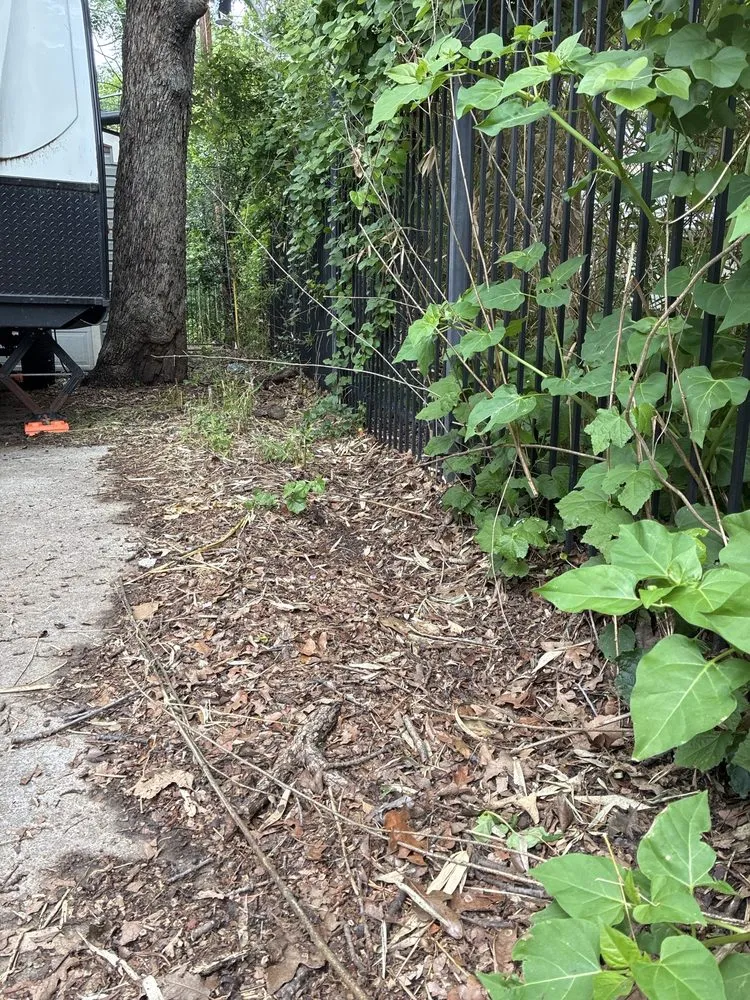 Reliable yard maintenance in Aledo, TX by Kutters Landscaping