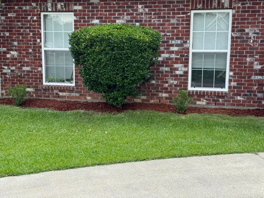 Custom landscaping services in Franklinton, LA - Kuttin Up