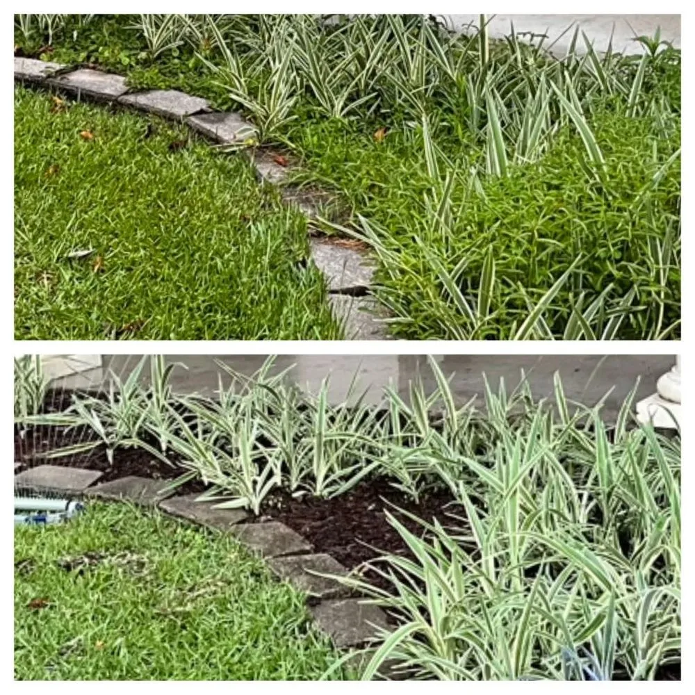 Local lawn mowing service in Franklinton, LA by Kuttin Up