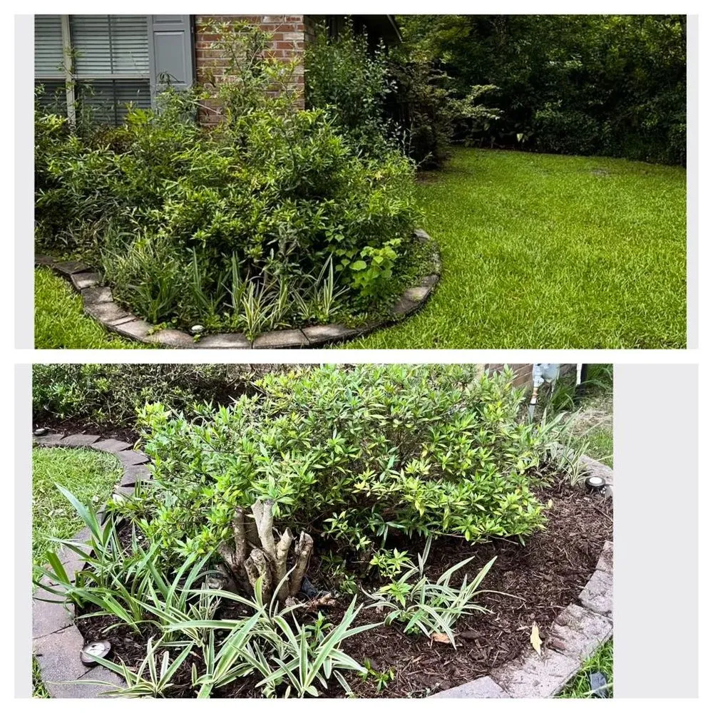 Top-rated yard maintenance for outdoor upgrades across Franklinton, LA - Kuttin Up