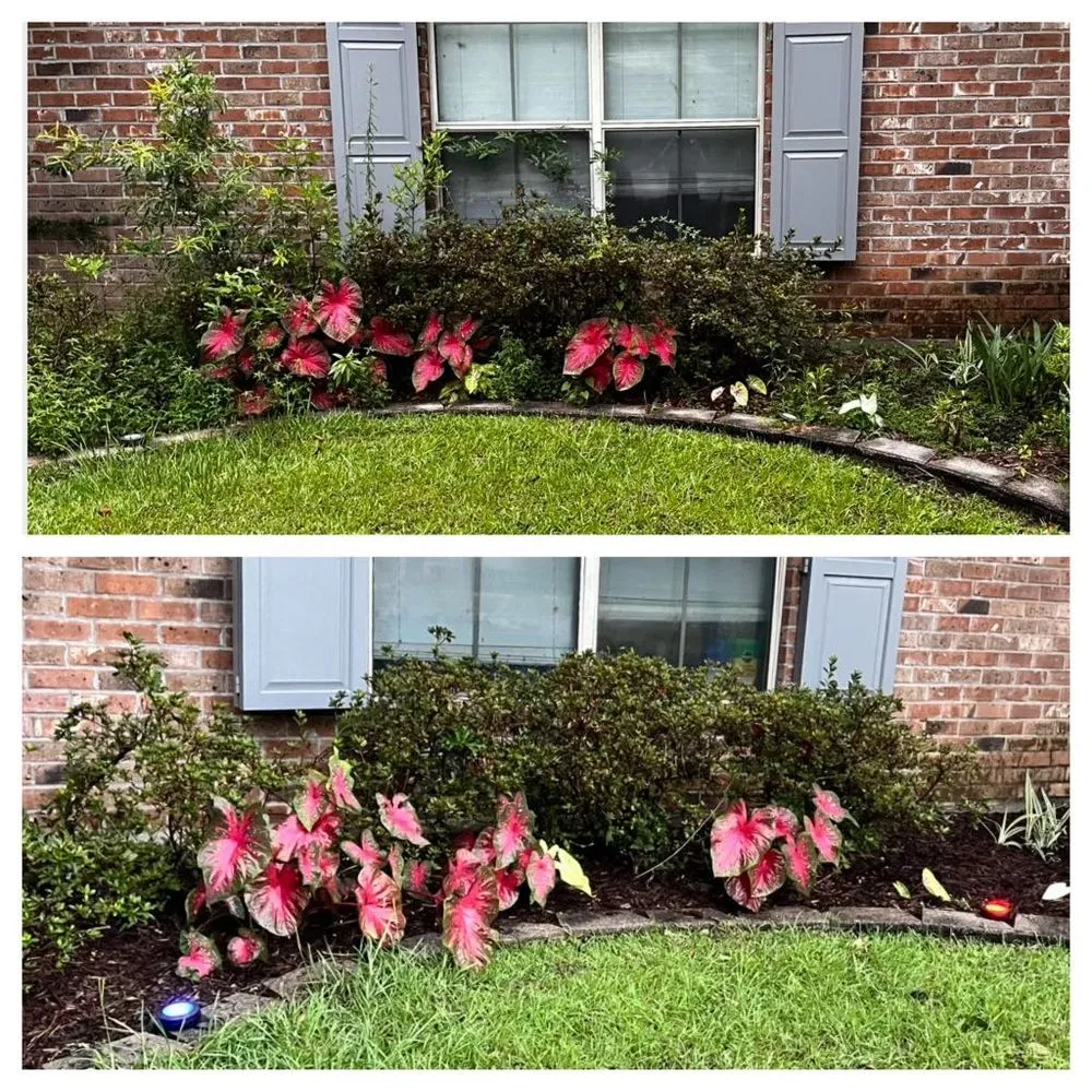 Expert landscape design in Franklinton, LA by Kuttin Up