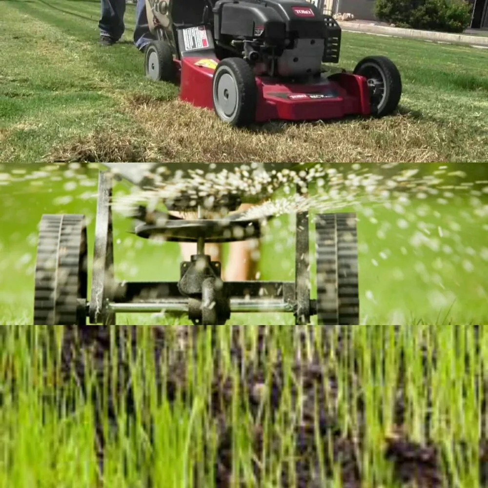 Affordable lawn mowing service for outdoor upgrades in Chandler, AZ by KuttingEdge Landscape