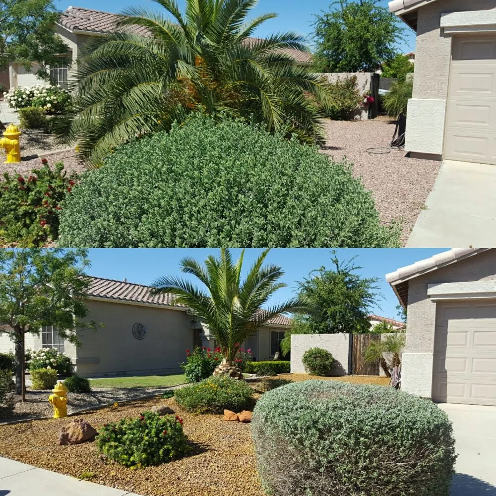 Custom yard cleanup service in Chandler, AZ - KuttingEdge Landscape