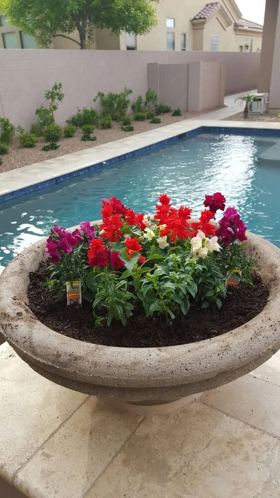 Custom yard maintenance experts serving Chandler, AZ - KuttingEdge Landscape