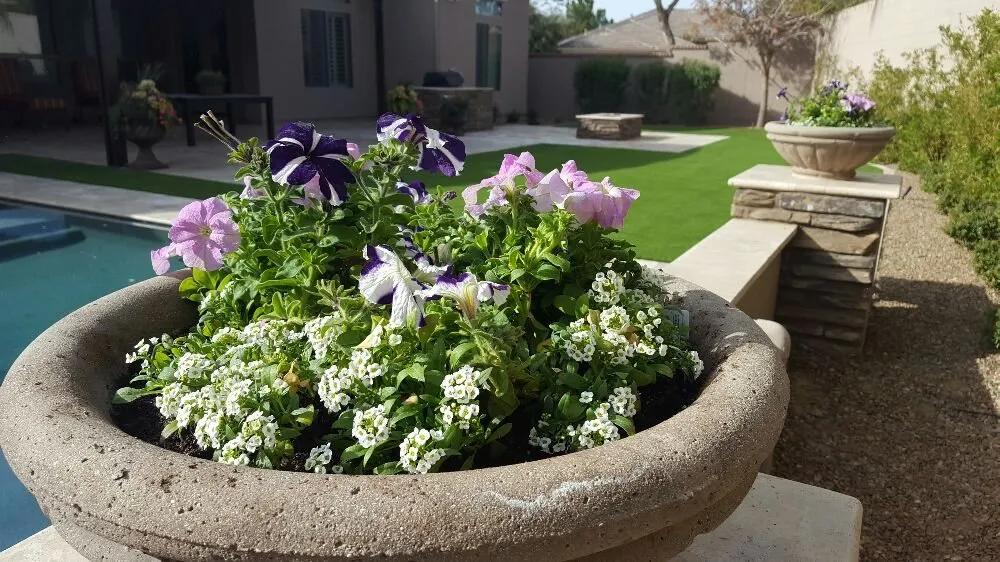 Custom landscape design experts serving Chandler, AZ - KuttingEdge Landscape