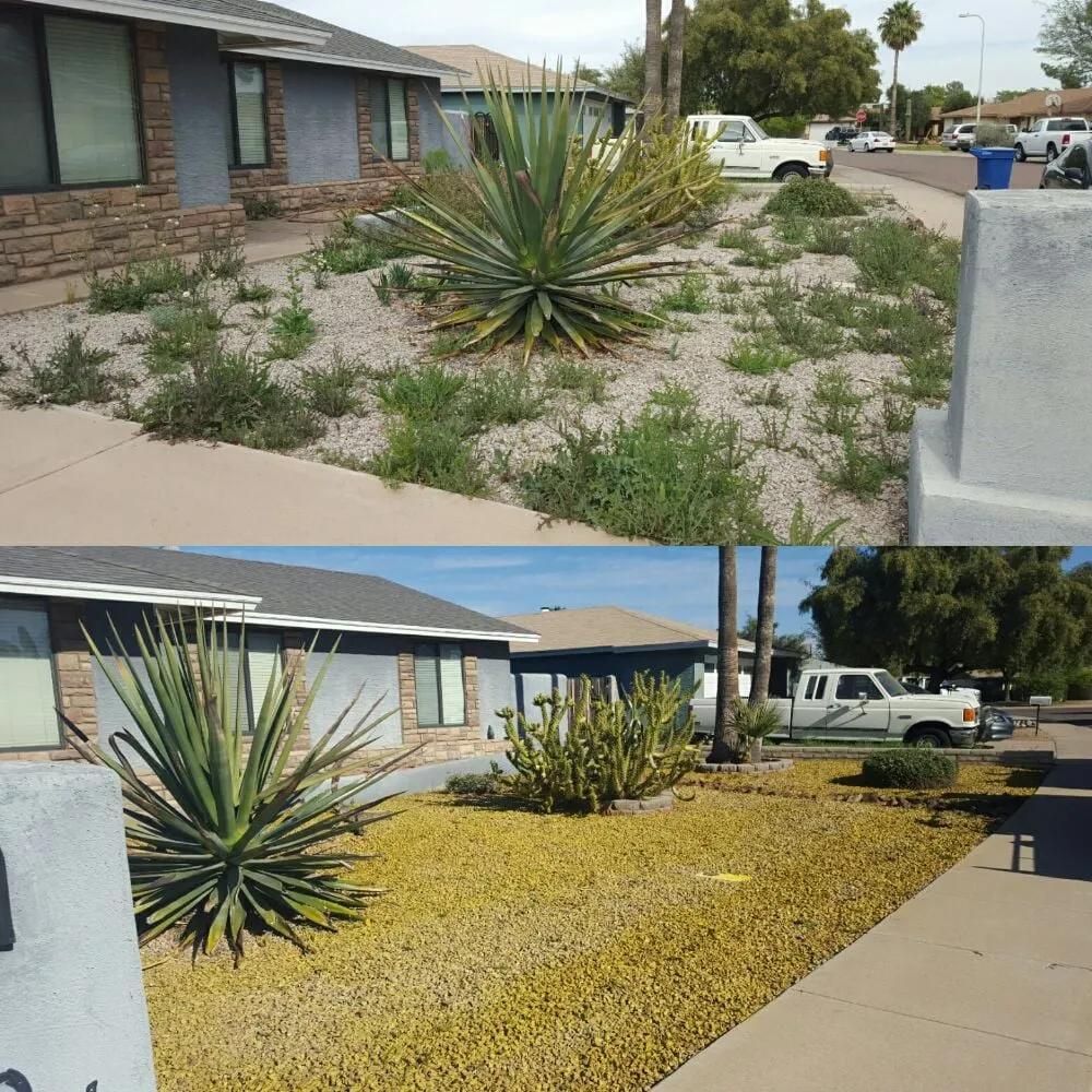 Affordable landscaping services in Chandler, AZ - KuttingEdge Landscape