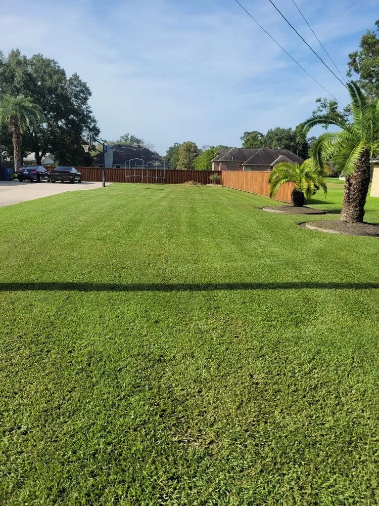 Reliable lawn care service with custom design in Saint Martinville, LA by Kutz By Q Lawn Service