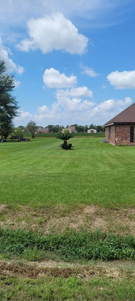 Trusted landscaping services for beautiful yards across Saint Martinville, LA - Kutz By Q Lawn Service