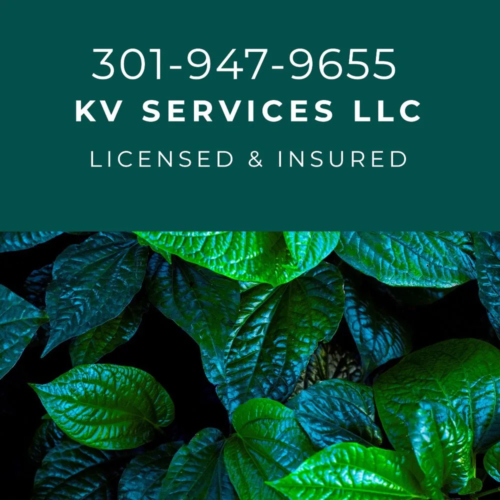 Local lawn mowing service for beautiful yards in Rockville, MD by KV Services
