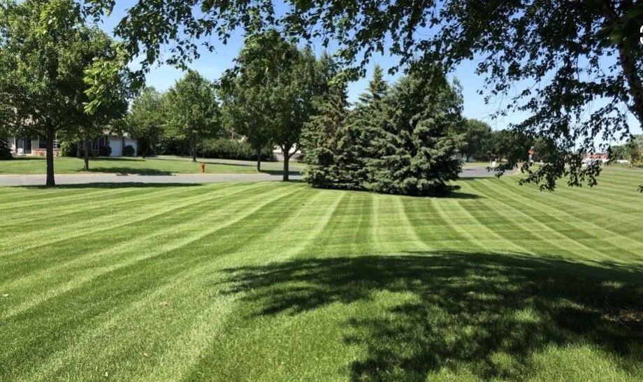 Expert lawn care service for residential properties across Sterling, VA - KVA Landscaping