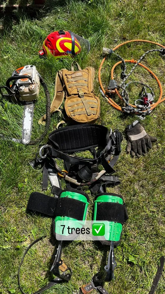 Reliable yard cleanup service in Bloomington, MN - KVN Tree Services