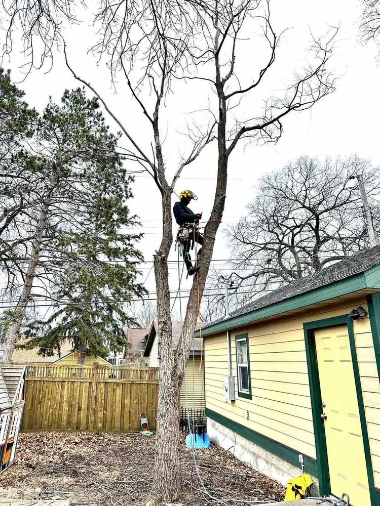 Local outdoor landscaping with custom design across Bloomington, MN - KVN Tree Services