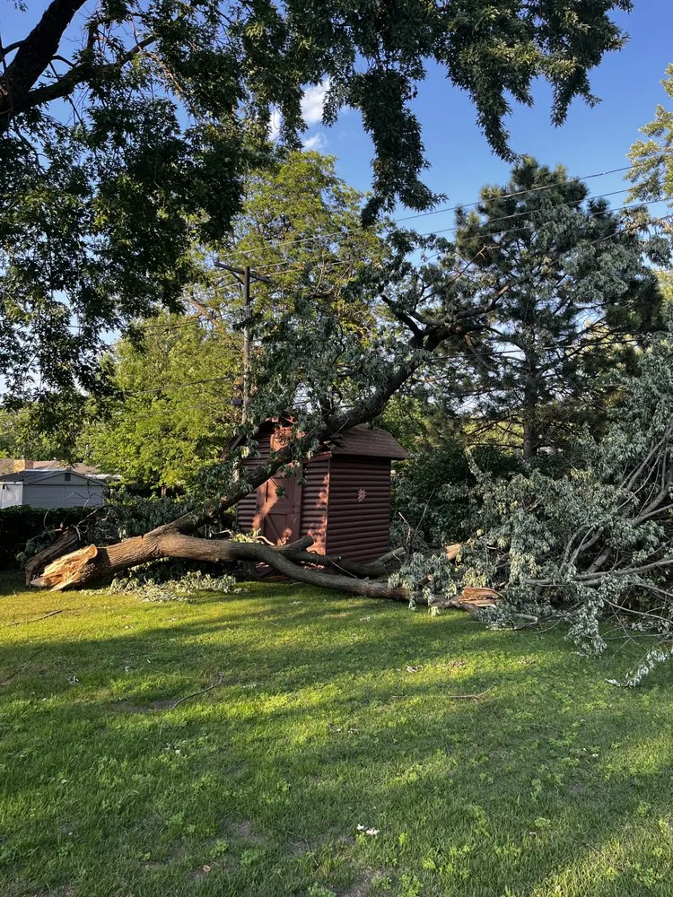 Top-rated yard maintenance in Bloomington, MN by KVN Tree Services