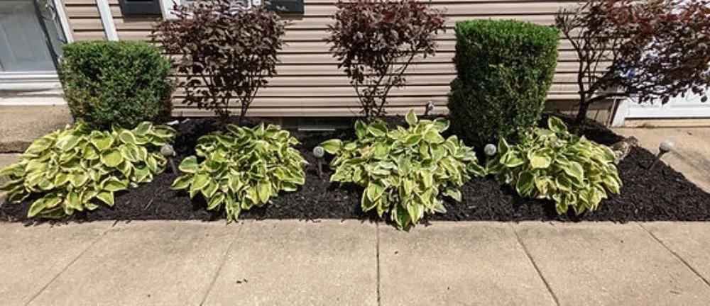 Affordable yard cleanup service in Smyrna, TN - KVS Landscaping