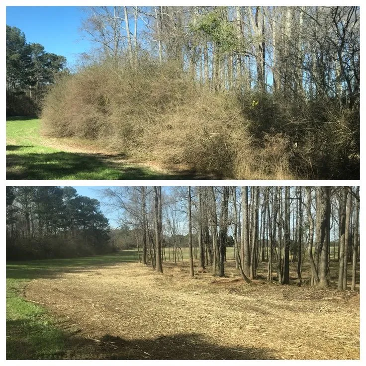 Top-rated landscaping services with custom design in Palestine, TX by KW Dirtwork