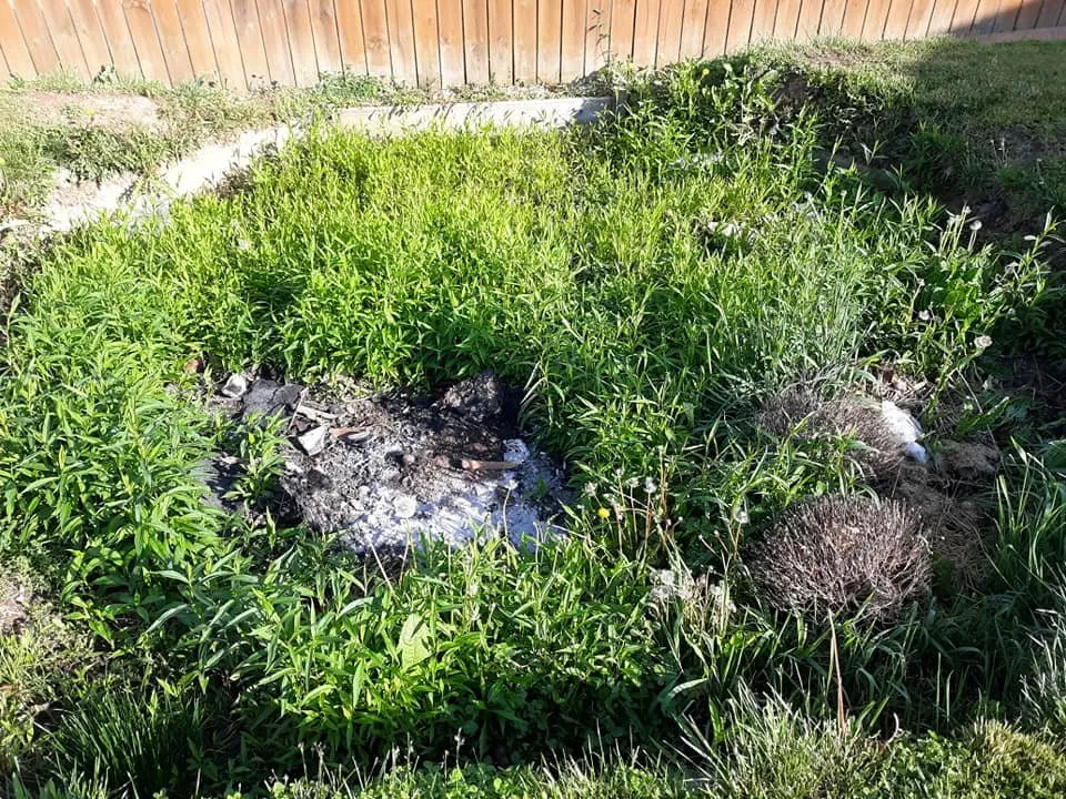 Reliable yard maintenance experts serving Marion, IN - K&W Junk Removal and Property Services LLC